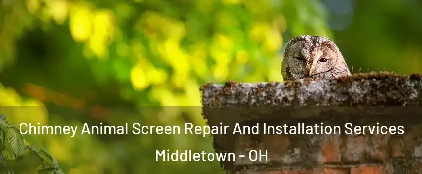  Chimney Animal Screen Repair And Installation Services Middletown - OH