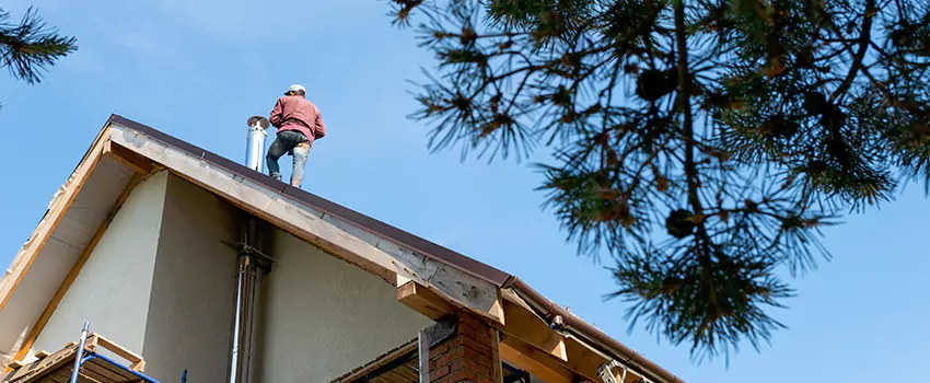 Birds Removal Contractors from Chimney in Middletown, OH
