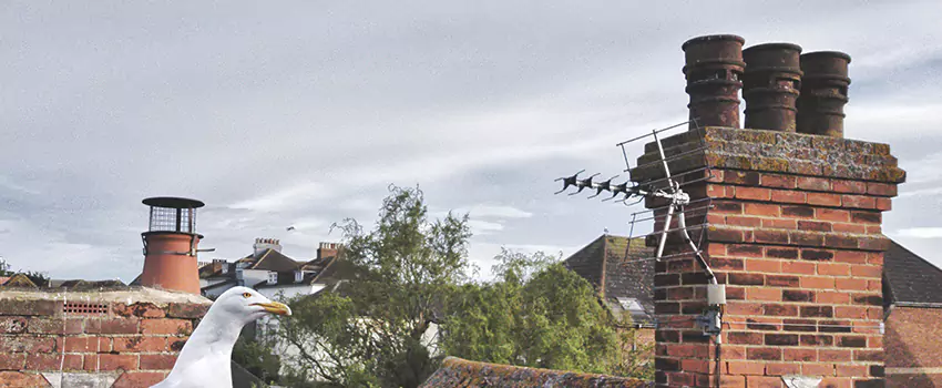 Chimney Cleaning And Restoration in Middletown, Ohio